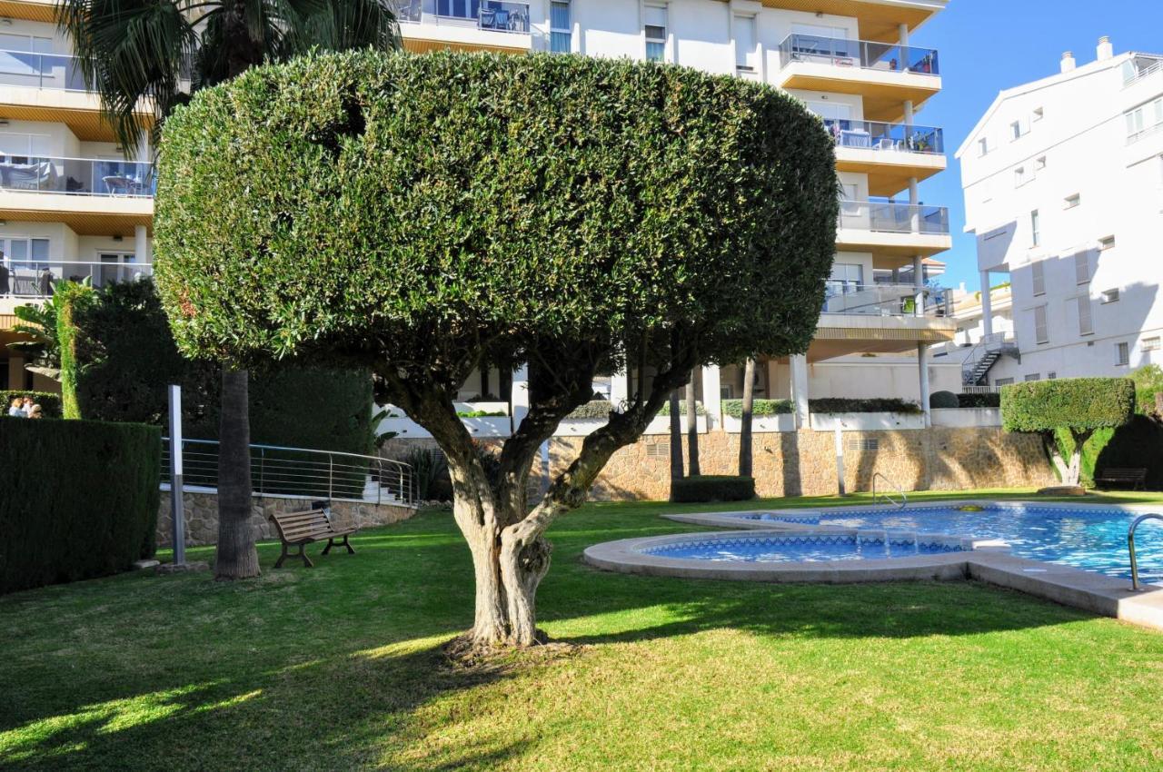 Exclusive Beachside 3 Bedroom Apartment With Pool In Альтеа Экстерьер фото